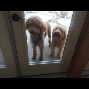 Meet your Posher, Cheryl